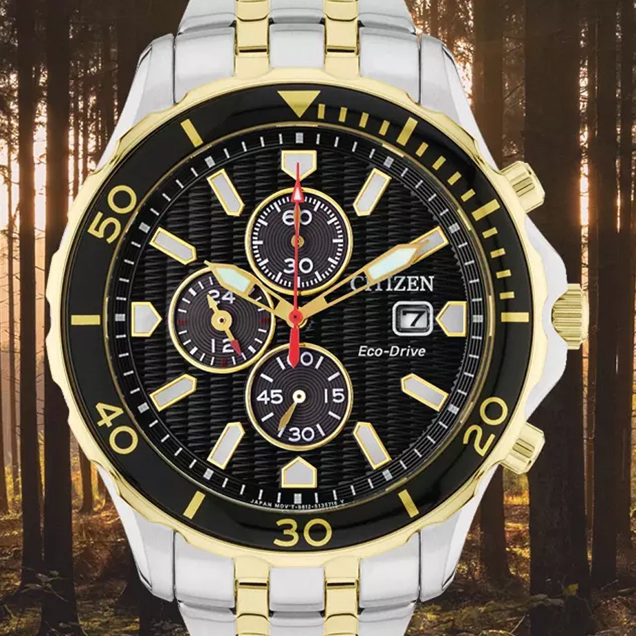 Argos hot sale divers watch